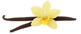 gousse&fleurs